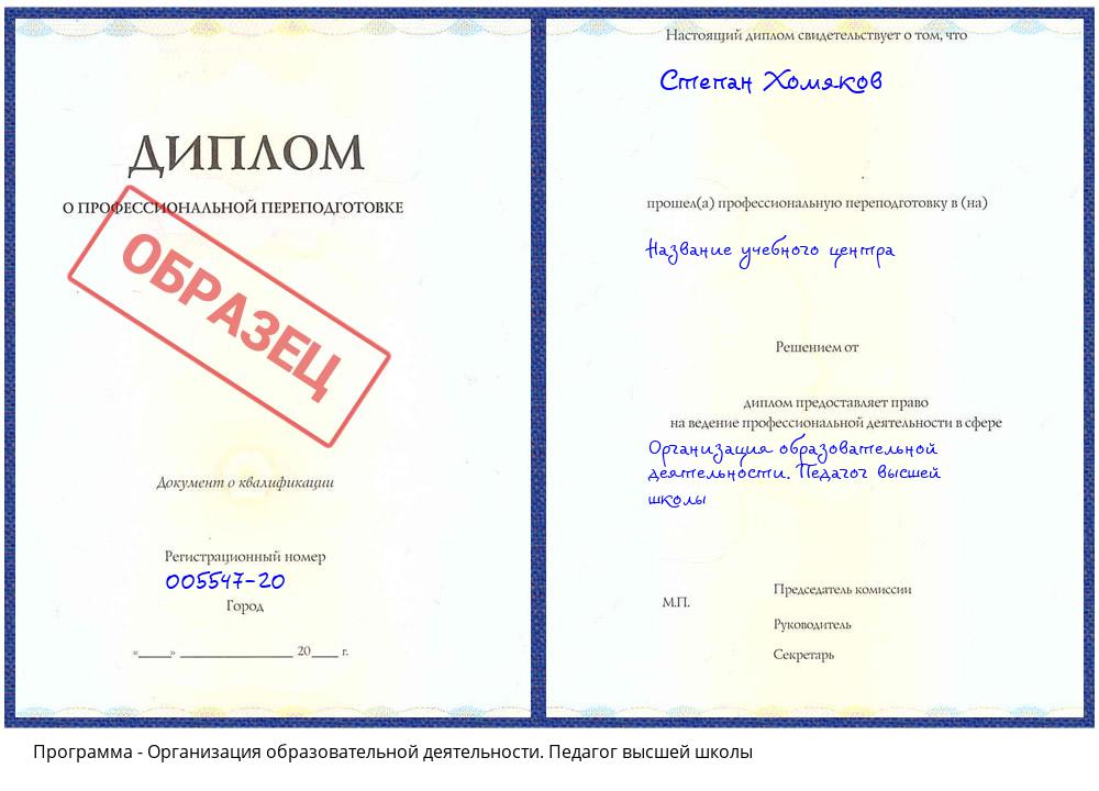 Организация образовательной деятельности. Педагог высшей школы Спасск-Дальний
