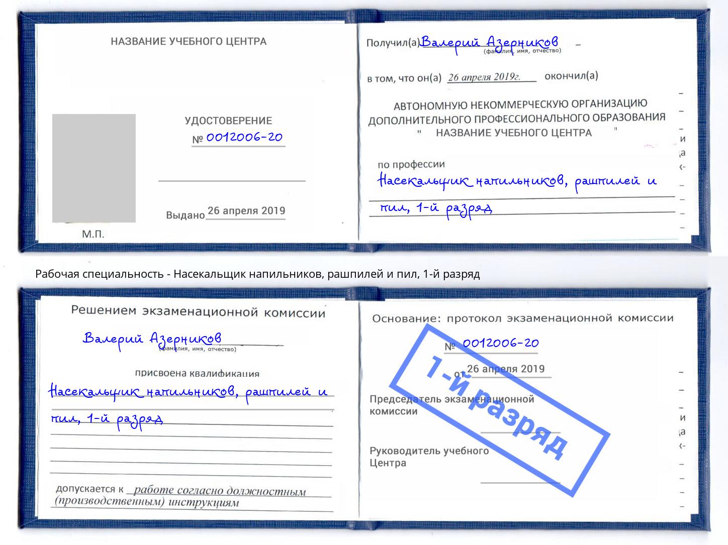 корочка 1-й разряд Насекальщик напильников, рашпилей и пил Спасск-Дальний