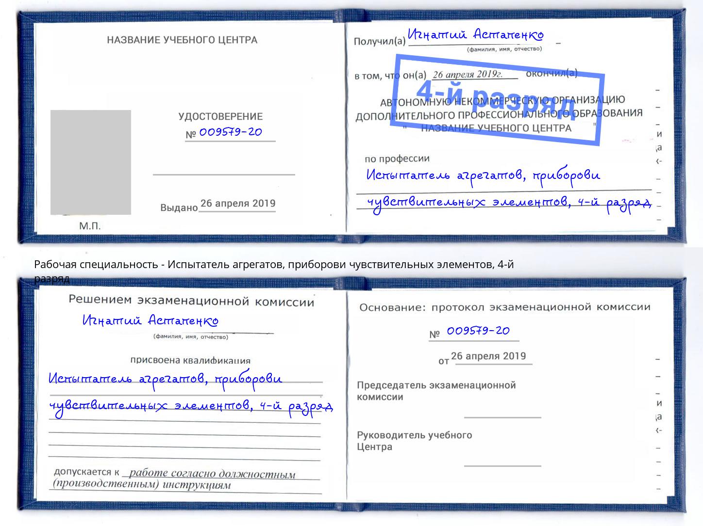 корочка 4-й разряд Испытатель агрегатов, приборови чувствительных элементов Спасск-Дальний