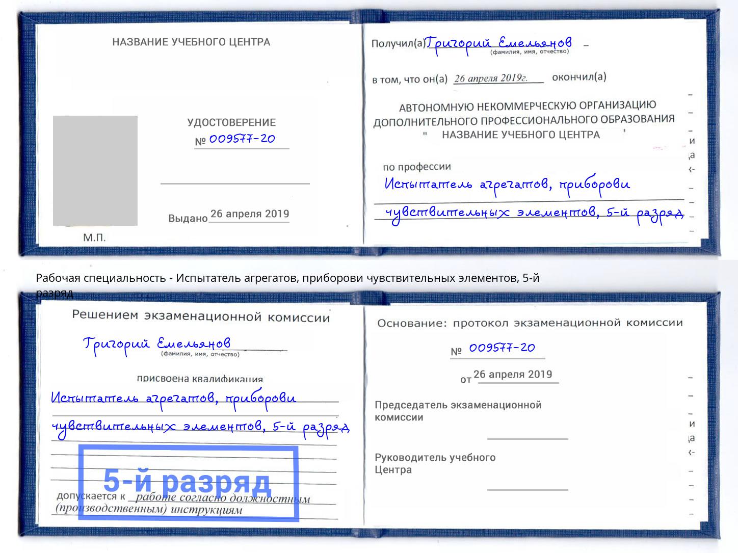 корочка 5-й разряд Испытатель агрегатов, приборови чувствительных элементов Спасск-Дальний