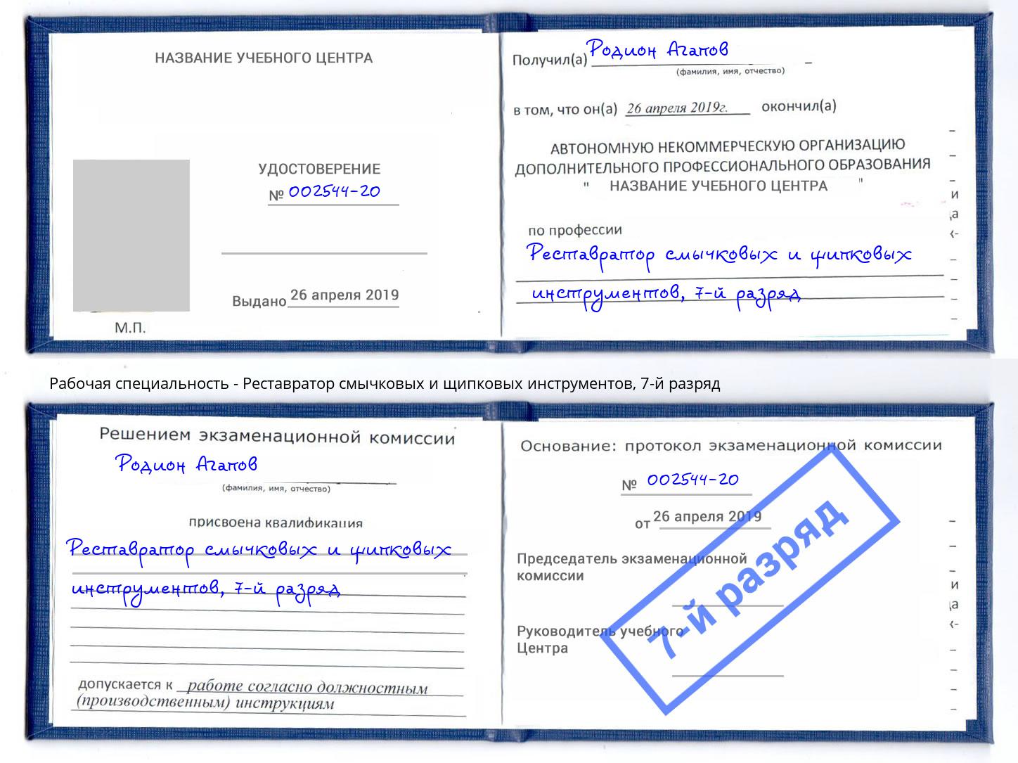 корочка 7-й разряд Реставратор смычковых и щипковых инструментов Спасск-Дальний