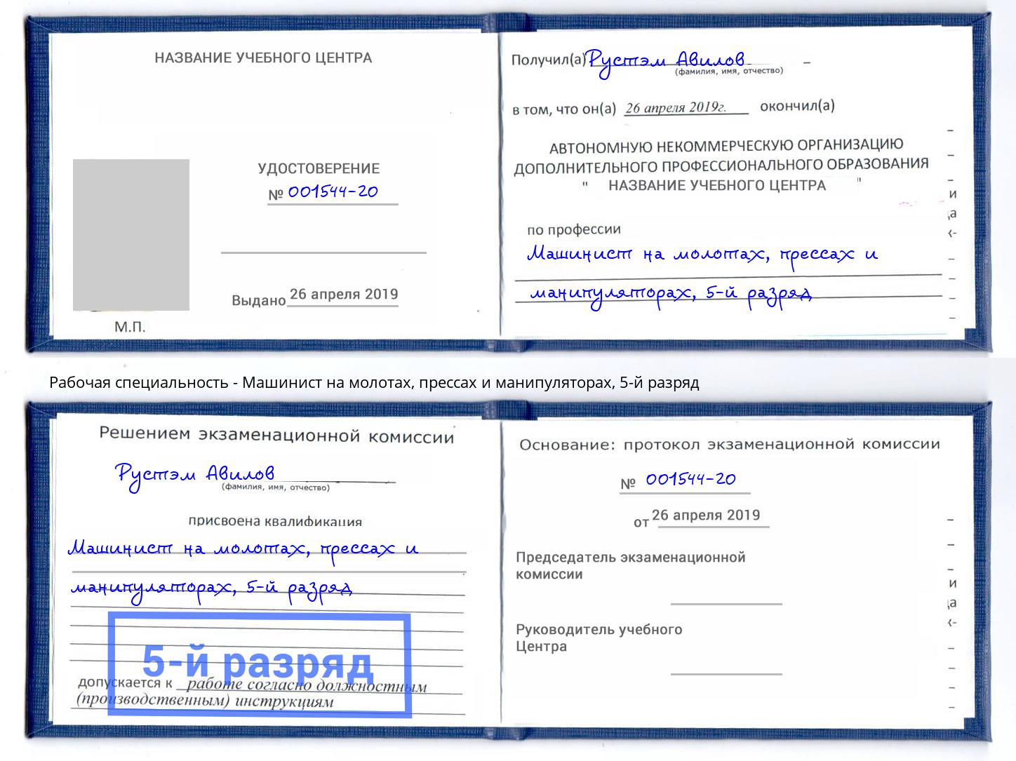 корочка 5-й разряд Машинист на молотах, прессах и манипуляторах Спасск-Дальний