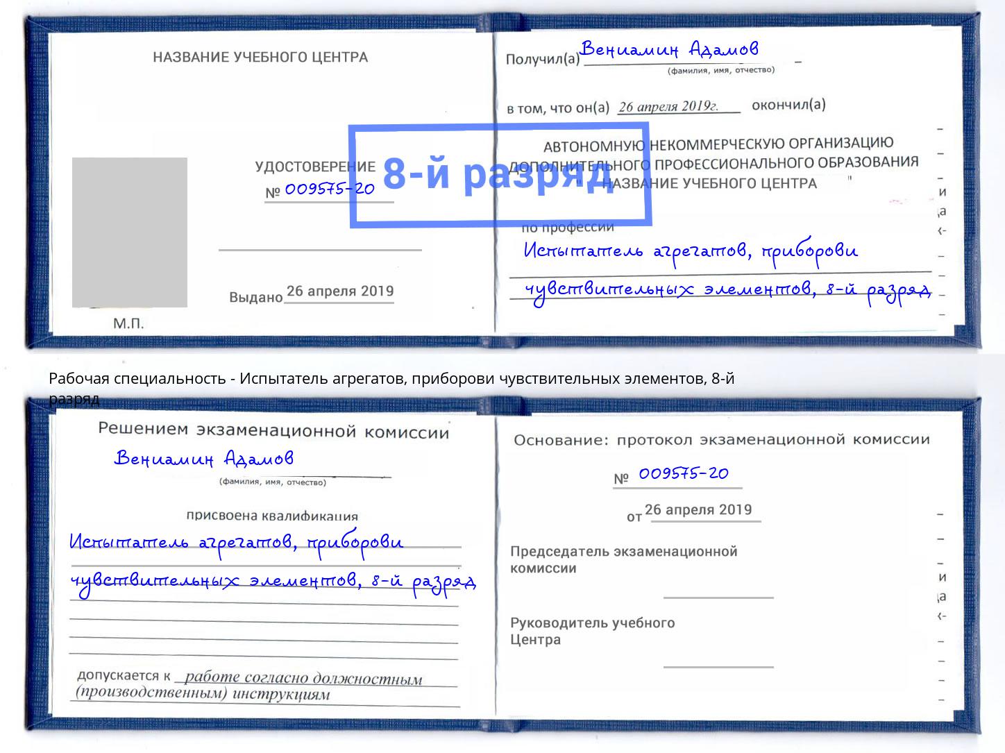 корочка 8-й разряд Испытатель агрегатов, приборови чувствительных элементов Спасск-Дальний